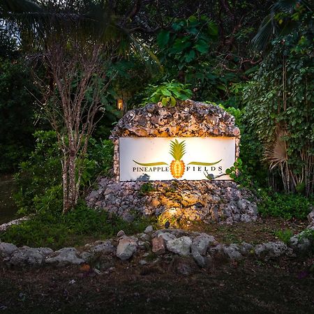 الشقق الفندقية جوفرنرز هاربورفي  Pineapple Fields المظهر الخارجي الصورة